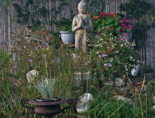 Awakening the Heart Retreat 7–9 August 2026